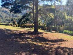 #TE03 - Bangalô para Venda em Campos do Jordão - SP