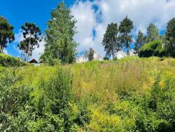 Terreno para Venda em Campos do Jordão - 4