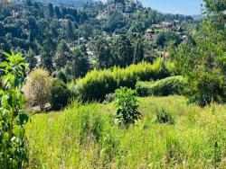 Terreno para Venda em Campos do Jordão - 5