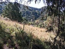 Terreno para Venda em Campos do Jordão - 4