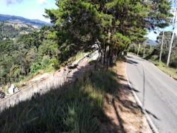 Terreno para Venda em Campos do Jordão - 5