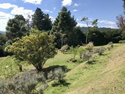 Casa para Venda em Campos do Jordão - 5