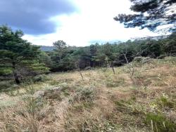 Terreno para Venda em Campos do Jordão - 4