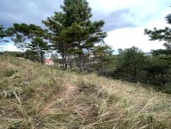 Terreno para Venda em Campos do Jordão - 5